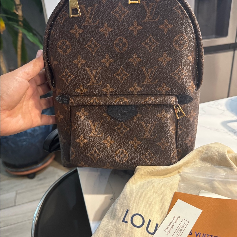 Louis Vuitton new backpack
